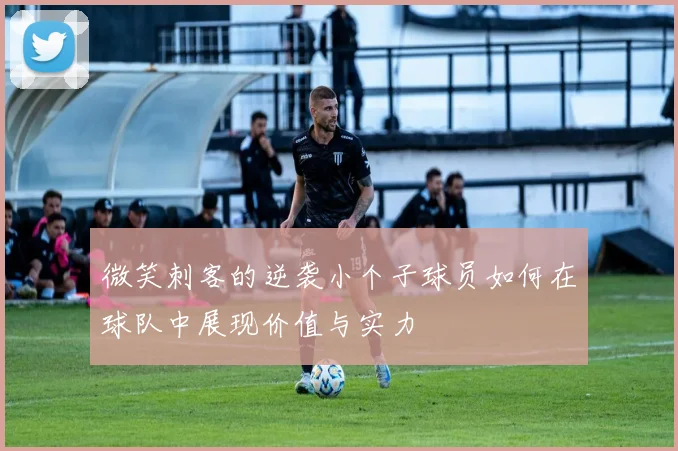 微笑刺客的逆袭小个子球员如何在球队中展现价值与实力